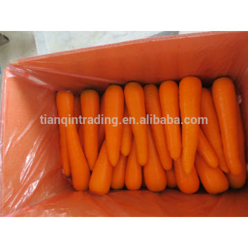 Chinese Carrot Supplier